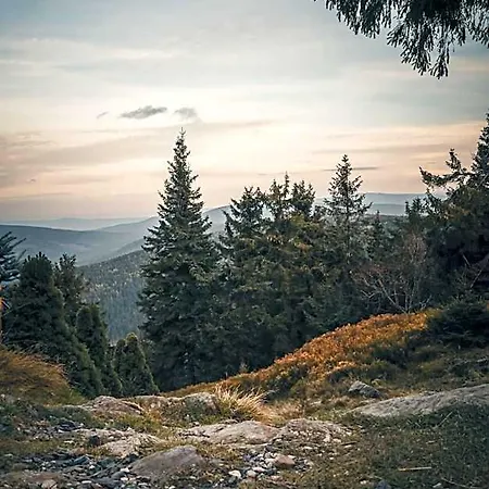 Forest Park & 4* Szklarska Poręba