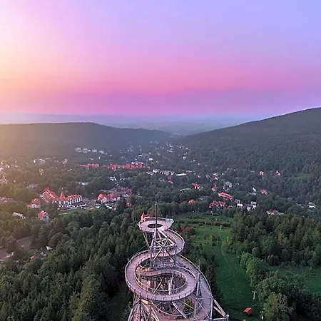 Hotel Forest Park &