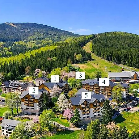 Forest Park & Hotel