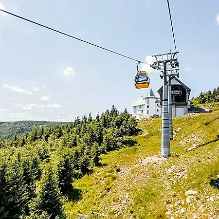 Otel Forest Park & 4*